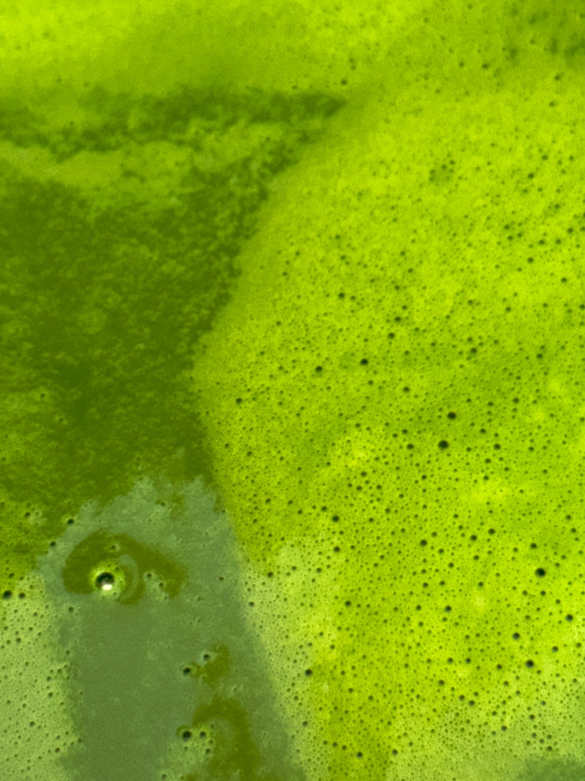 Macro of bright matcha foam